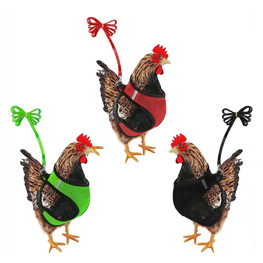 Adjustable Chicken Harness Hen Matching Leash Resilient And Comfortable Chest Strap Breathable Vest For Chicken Duck Dog Cat
