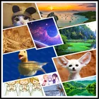 Алмазная живопись сделай сам, остров, Лесной ландшафт, веннец, лиса, пингвин, кабинет, чердак, лестница, вход, спальня, декоративный плакат