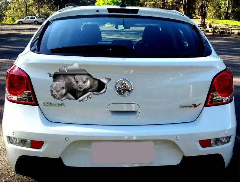 

2021 Otters sticker , car decoration, car sticker , funny otter sticker