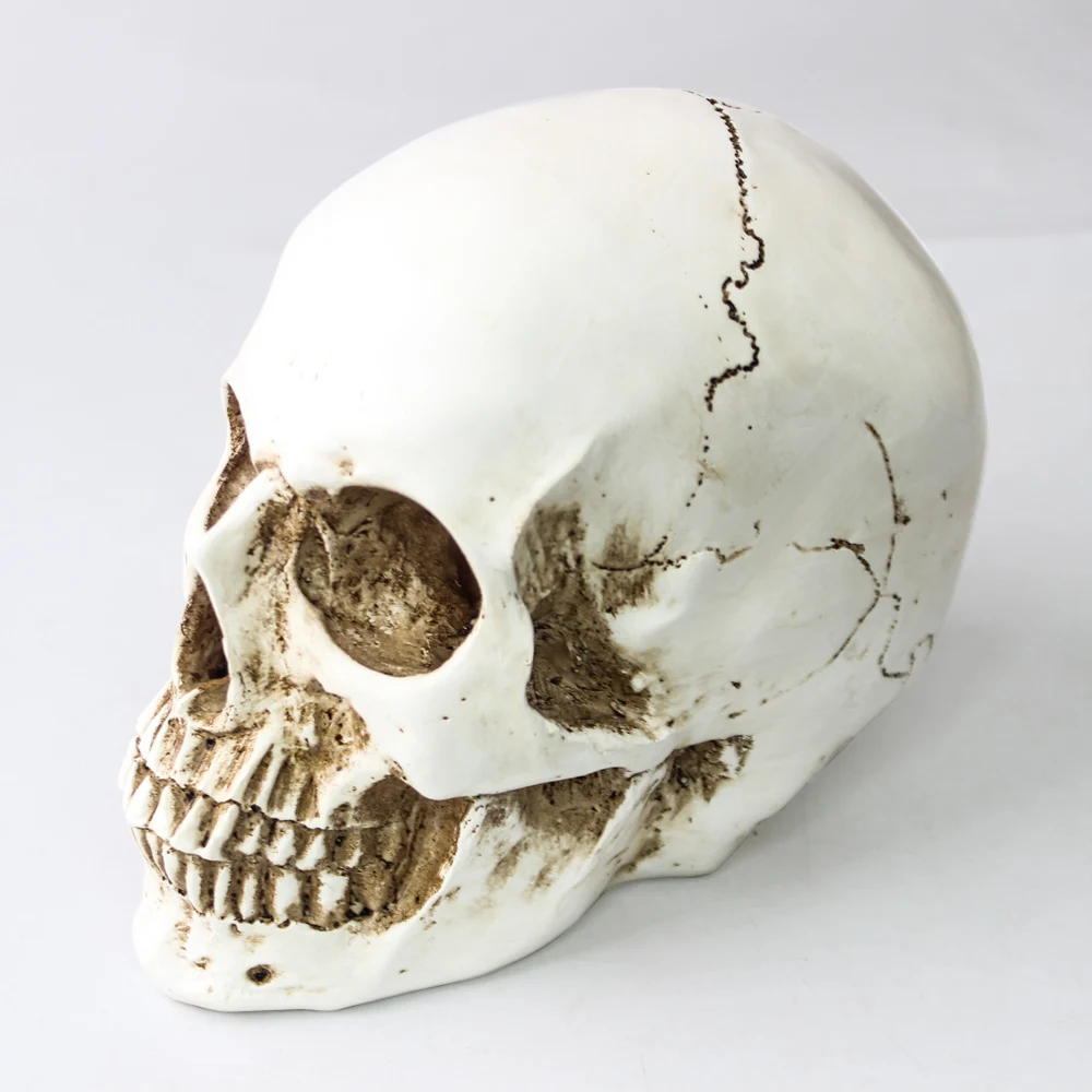 

New Creative Resin Carving Crafts Skull Model Halloween Ornaments Home Decoration Accessories Exquisite Birthday Gift