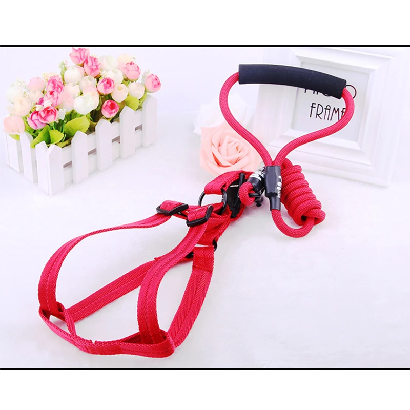 Pet Dog Leash Nylon Rope Harness Running Tracking Leashes Long Lead Mountain Climbing For Medium Large | Дом и сад