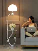 Modern Acrylic Lamp Shade Standing Lamp Coffee Table Floor Lamp Living Room Sofa Reading Floor Light Bedroom Bedside Stand Light