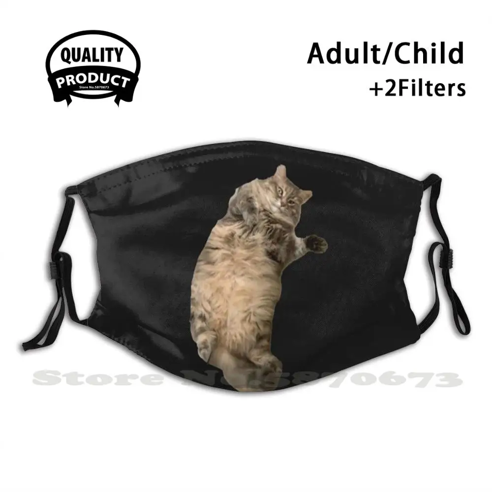 

Cute Fat Cat Reusable Mouth Mask Washable Filter Anti Dust Face Masks Cat Cute Fuzzy Far Adorable