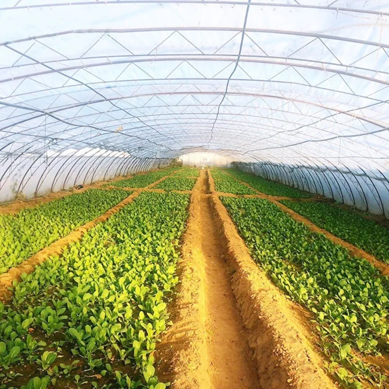 Рисунок 5 - 8 м * 30 м-большие коммерческие