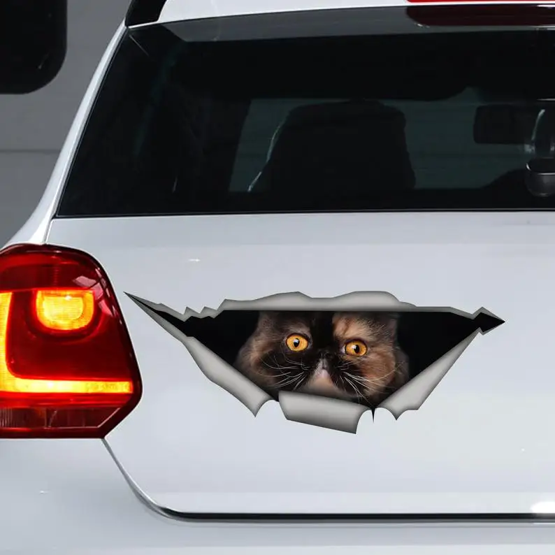 

2021 Tricolor Persian cat car sticker, cat car decal, Persian cat magnet