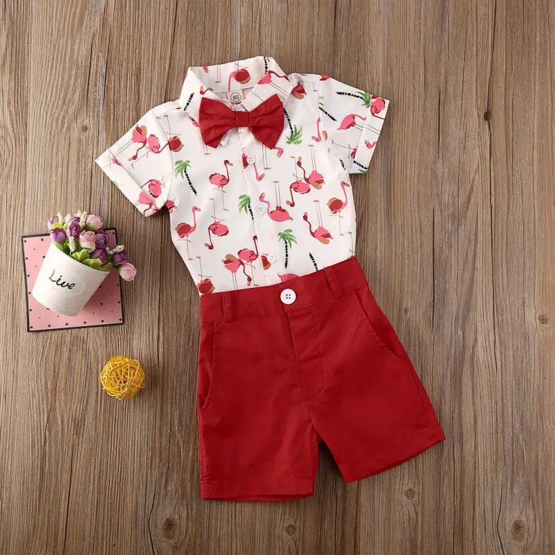 

Fashion Toddler Baby Boy Party Gentleman Summer Flamingo Clothes Short Sleeve Shirt Tops +Solid Shorts Pants 2PCS Outfits Set