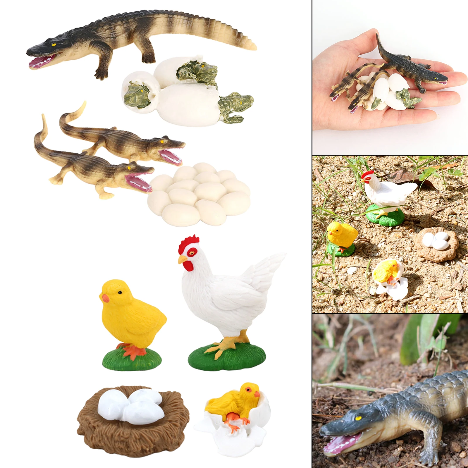 Juego de crecimiento de insectos para el ciclo de la vida, figuras de educaci&oacute;n, juego de rol, fiesta tem&aacute;tica, 2 unidades-0