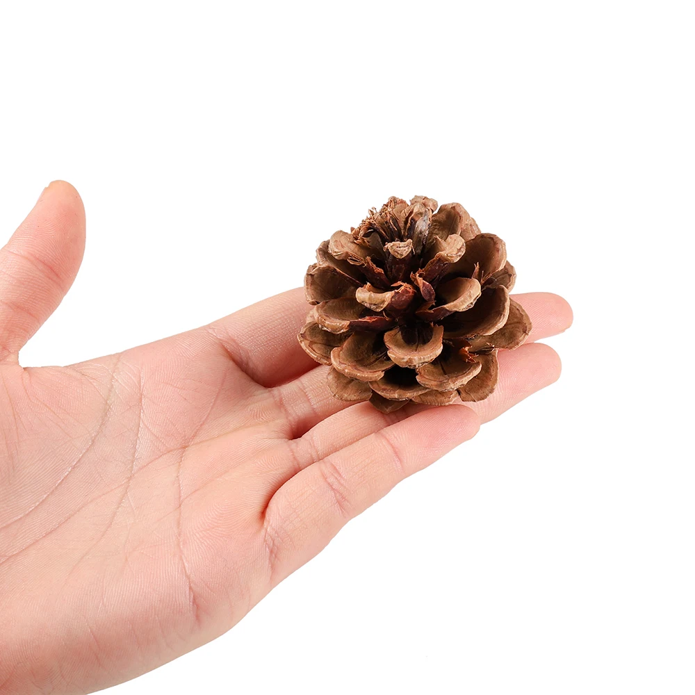 

2-15pcs Real Natural Pine Cones Resin Mold Bauble For DIY Epoxy Resin Mold Pendant Necklace Jewelry Making Findings Accessories