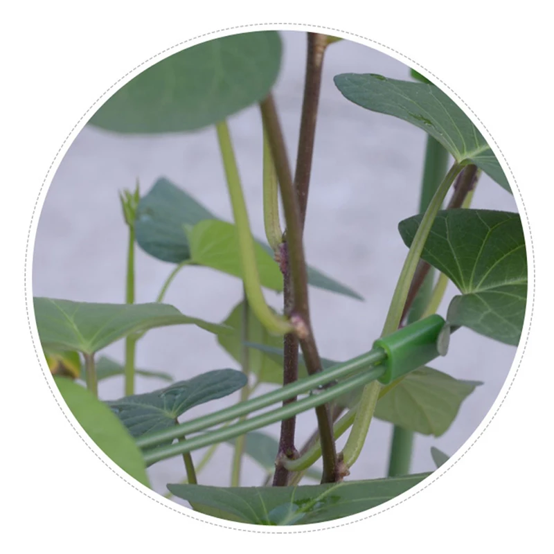 

1Pc Durable Creative Climbing Vine Rack 45cm Iron Coated Iron Plant Support Frame Garden Balcony Plant Flower Trellis