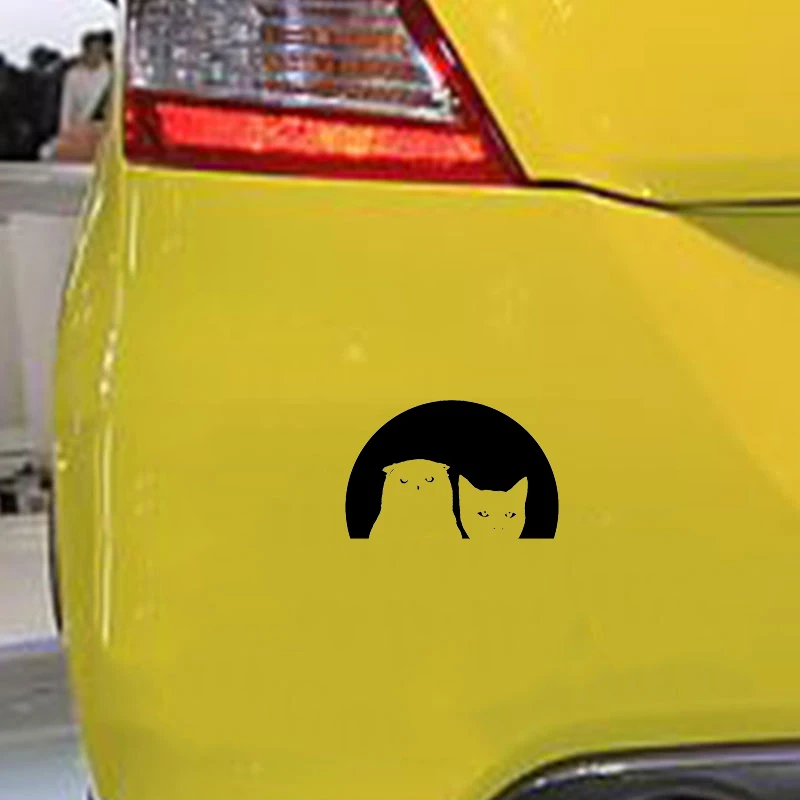 

15*9.7cm Owl Cat Moonlight Animal Love Vinyl Decal Funny Car Window Bumper Novelty JDM Drift Vinyl Decal Sticker