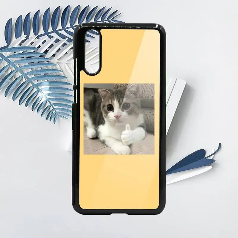 

Aesthetic Cute Animal Cat Phone Case PC For Samsung galaxy S note 8 9 20 10 e lite2019 plus pro ultra