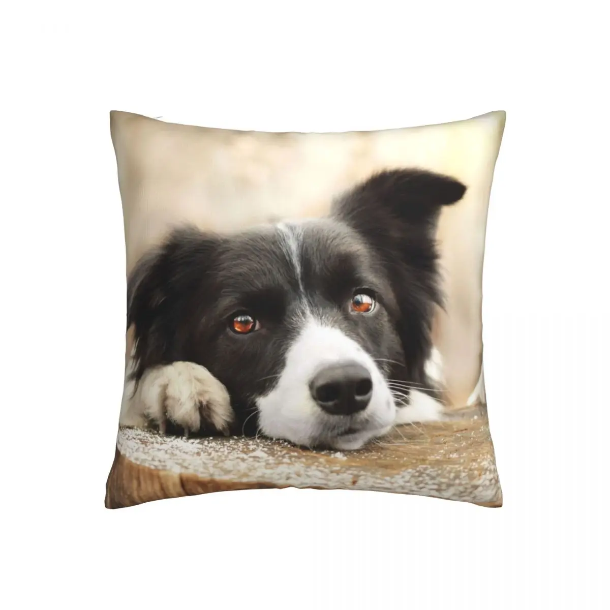 

45cmX45cm Border Collie Design cushion pillowcase pillow living room bedroom decoration pillowcase