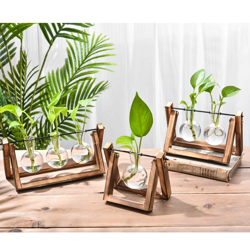 Гидропонная фотография Terrarium винтажный цветочный горшок прозрачная ваза