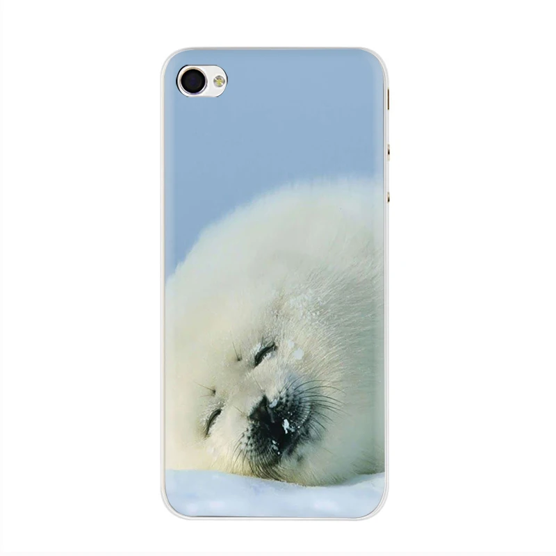 Жесткий чехол для телефона EWAU Baby harp Seal Sea Lion чехол для iPhone 5 5S SE 5C 6 6s Plus 7 8 Plus X XR XS 11 Pro MAX