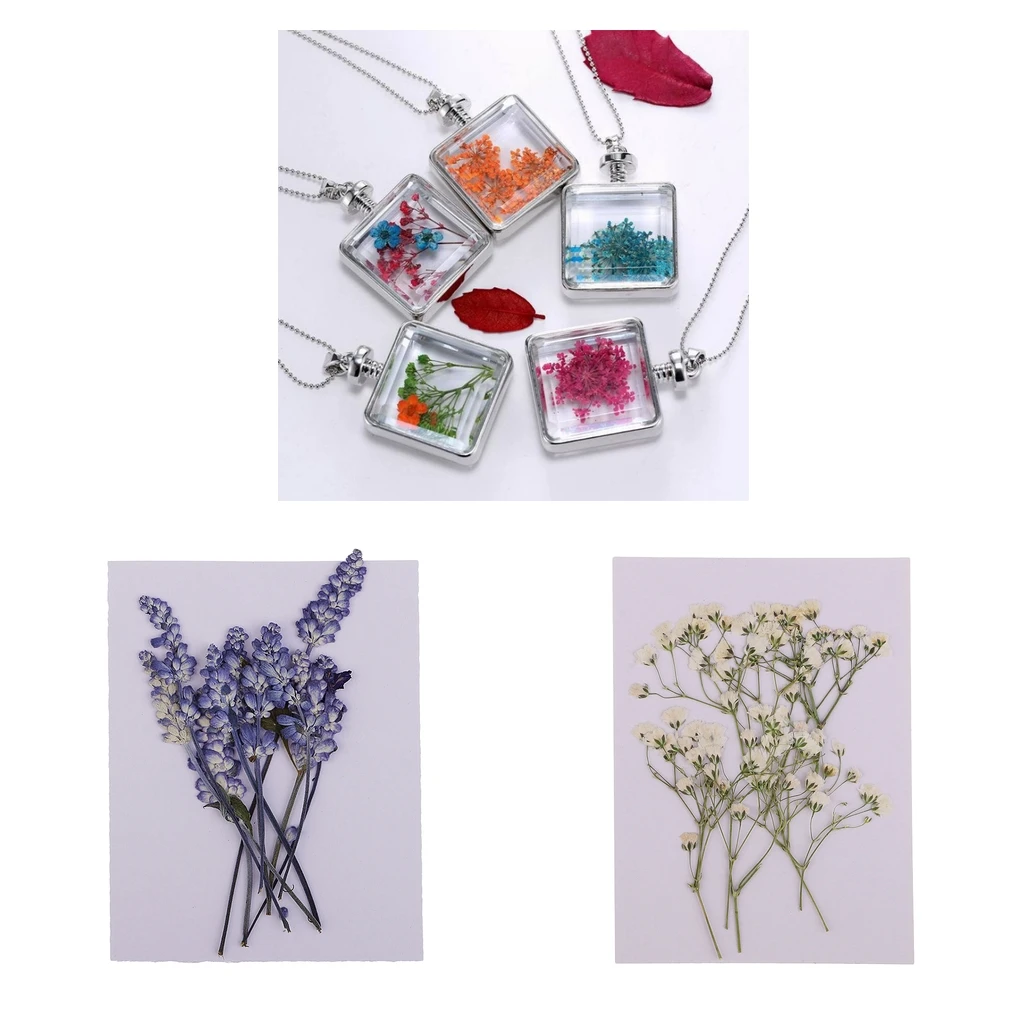 20x натуральный прессованный высушенный шелковые цветы настоящие цветные