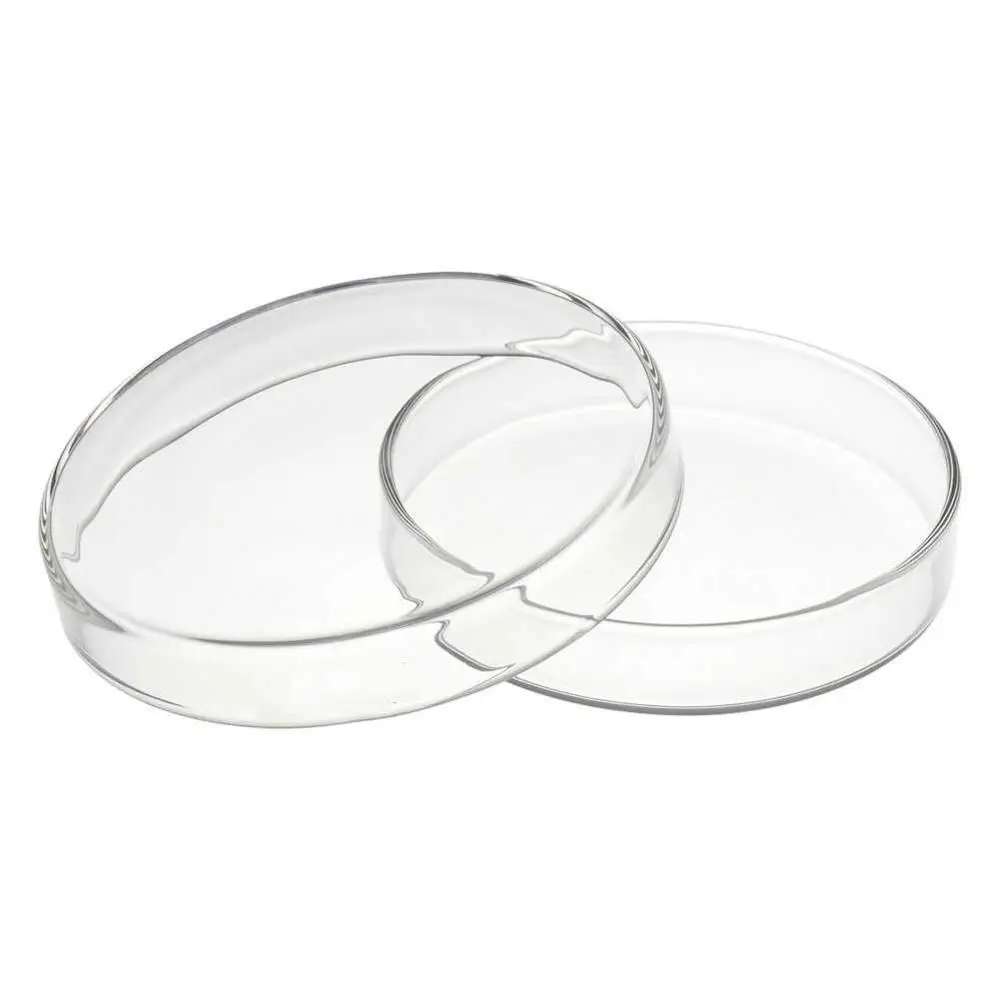 Прозрачная стеклянная креветка еда круглые блюда миска для кормления маленьких