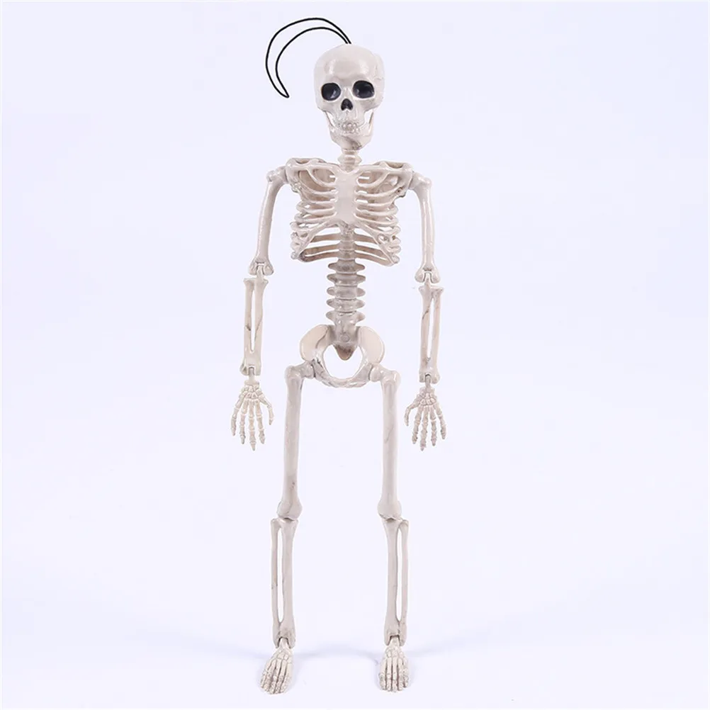 

New 40CM Halloween Flexible Human Anatomical Anatomy bone Skeleton Model Medical Wholesale Medical Learn Aid Anatomy art sketch