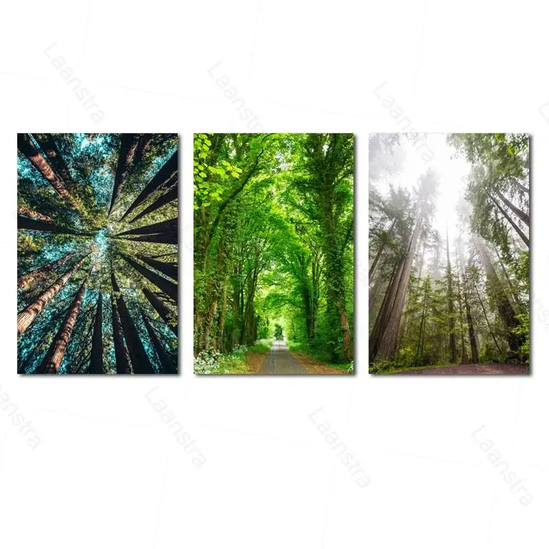 

3 Pieces Canvas Print Green Tree Forest Landscape Pictures Home Decor Painting Living Room Natural Fresh Sunshine Poster Wall Ar
