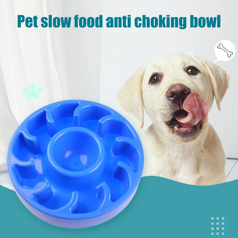 

Dog Slow Feeder with Water Bowl Pet Slowing Eating Trainer Anti-Slip Licking Food Dispenser for Cat TS2