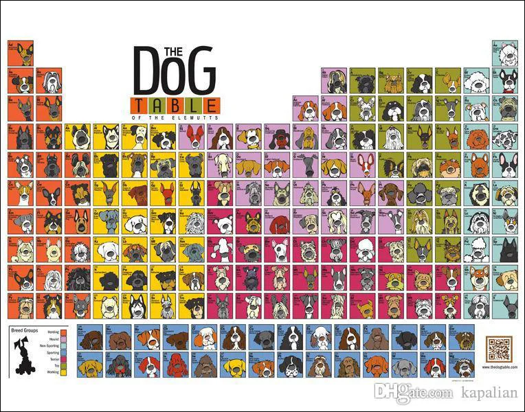 Плакат с животными собака стол элементов художественная картина фотобумага на