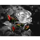 Раскраска по номерам для дома, розы, масло, набор для рисования по номерам, GATYZTORY Diy, наборы изображений