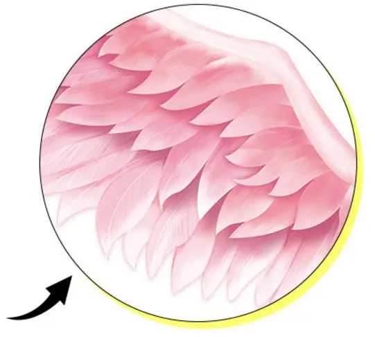 1 шт большой розовый качели перо наклейки на стену для дизайна ногтей Наклейка