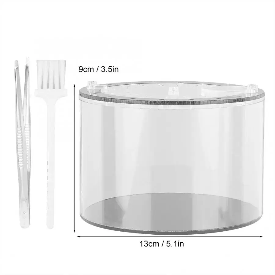 Экологическая бутылка для ландшафтного дизайна круглая скалолазание кормушка