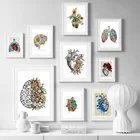 Настенная картина Анатомия сердца Brain с абстрактной медициной, Картина на холсте, скандинавские плакаты и принты, настенные картины для гостиной