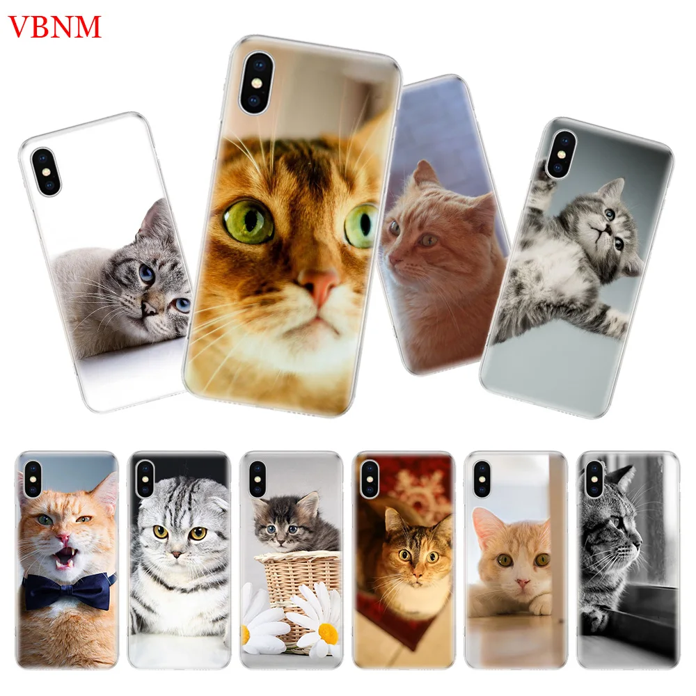 Милый кот котенок Meow задняя крышка телефона чехол для iPhone 7 8 6 6S Plus X 10 Ten XS MAX XR 5 5S SE