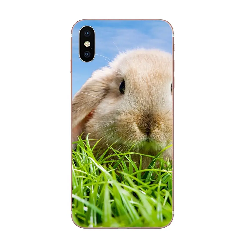 Простой стиль милый морская свинка Мягкий ТПУ чехол для телефона Xiaomi Redmi Mi 4 7A 9T K20