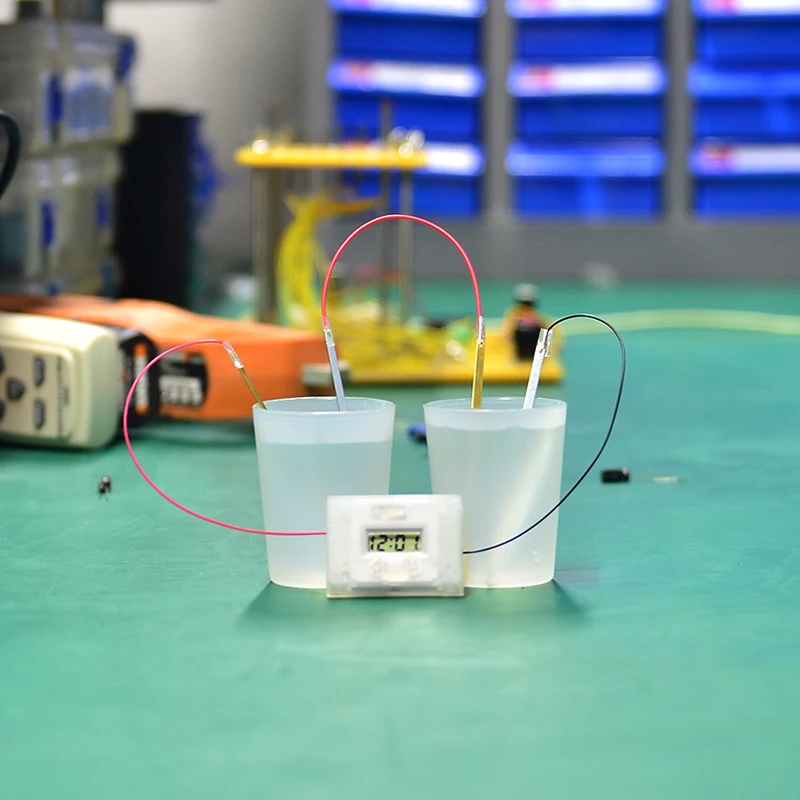 SZ паровые часы картофель электрохимический клеточный эксперимент Материал