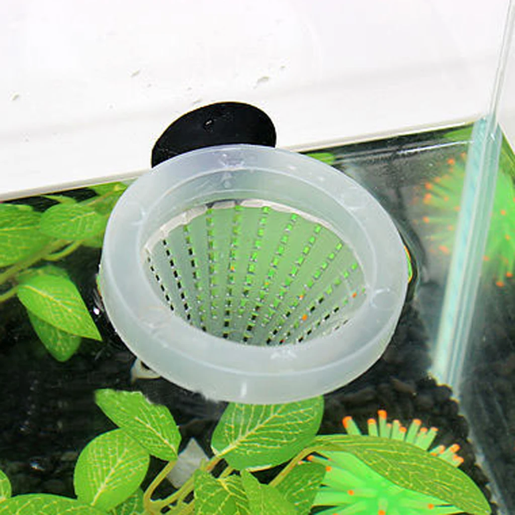 

CO2 Aquarium Water Grass Red Worms Food Cup Feeder Feeding Tools
