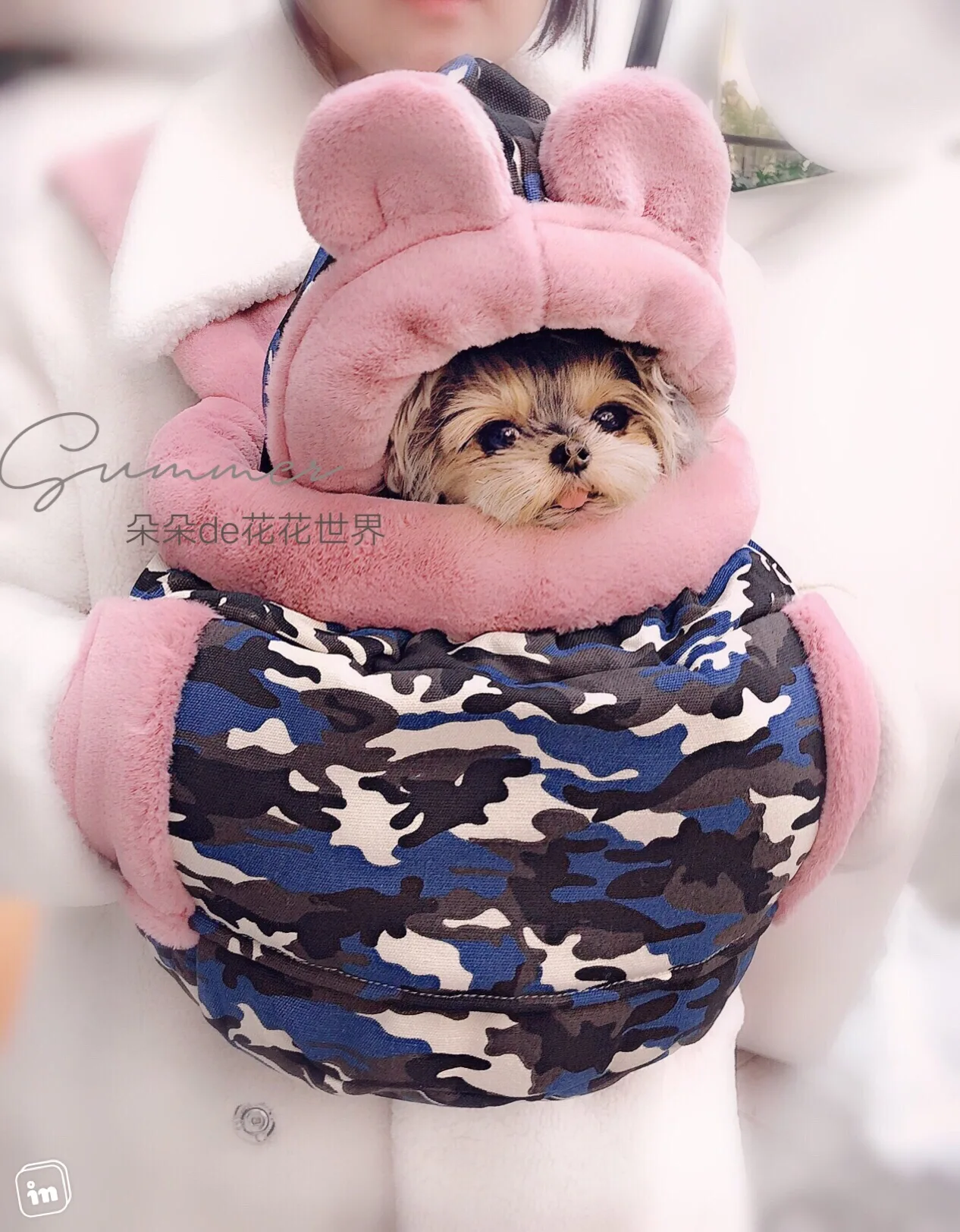 

Pet dog carrier backpack Pet dog Teddy winter backpack out bag chest bag thickening and velvet to keep warm