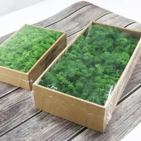 200gbag artificial green plants immortal fake flower moss grass home decorative wall diy flower grass accessories