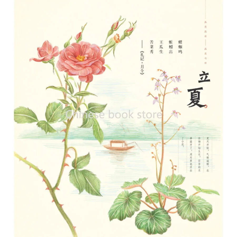 Booculchaha Chinesecoloring учебная книга для карандашей самостоятельного обучения: