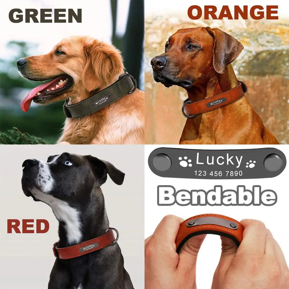 Ошейник для собак кожаный с гравировкой MP0100 товары домашних животных кошек | Дом