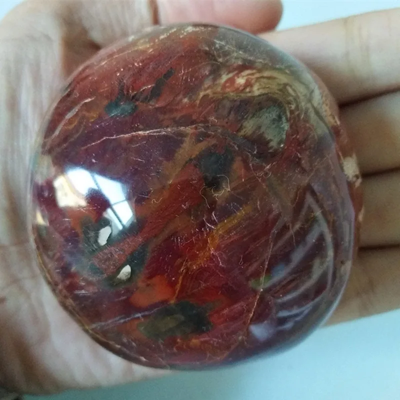 Натуральное дерево fossilThe fossilized камень из натуральной деревянной пальмы