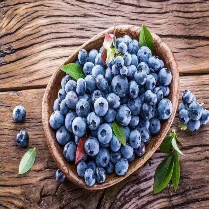 Высококачественный экстракт черники клюквы фруктовый порошок 1 шт. фестивальный