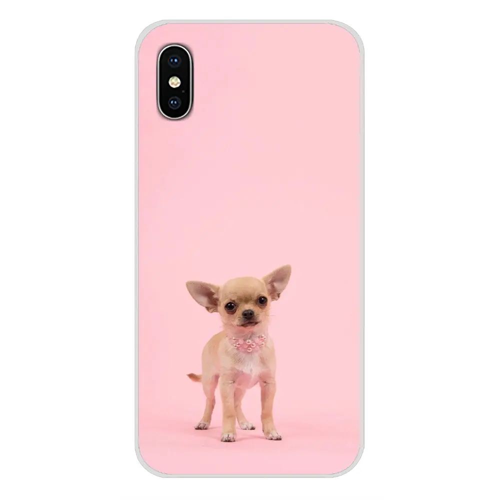 Животные Чихуахуа собака аксессуары чехлы для телефонов Чехлы Apple iPhone X XR XS 11Pro MAX 4S