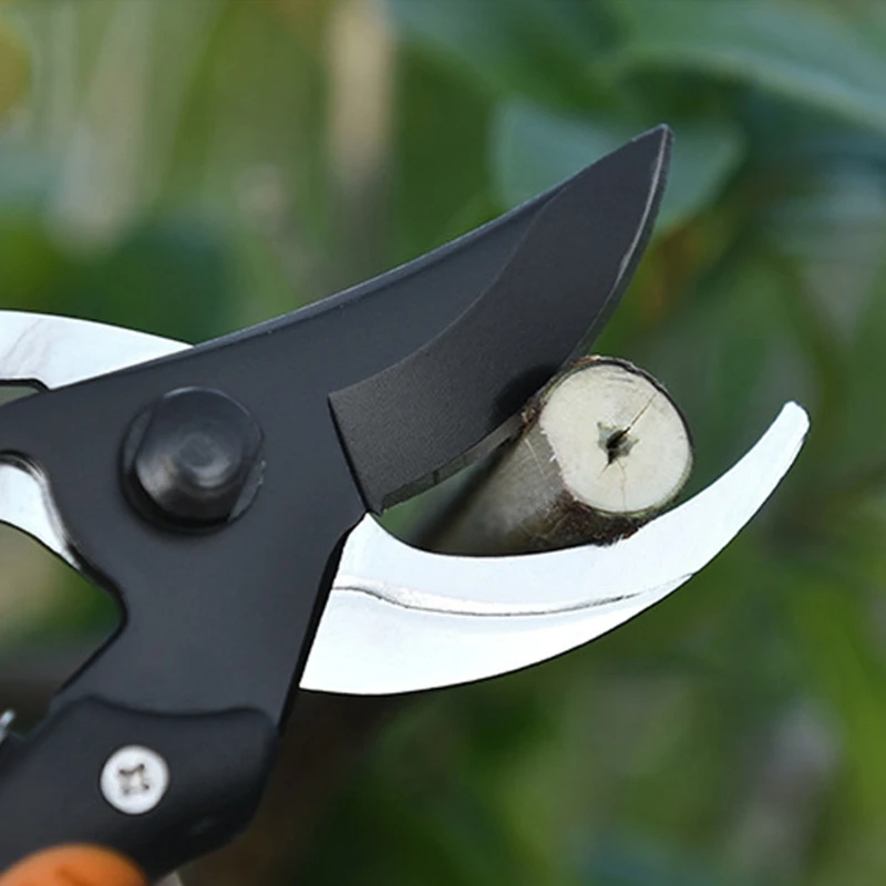 

SK5 Pruning Shears Garden Tree Trimmer Gardening Tool Non-slip And Labor Saving with Sponge Handles and Safety Guard