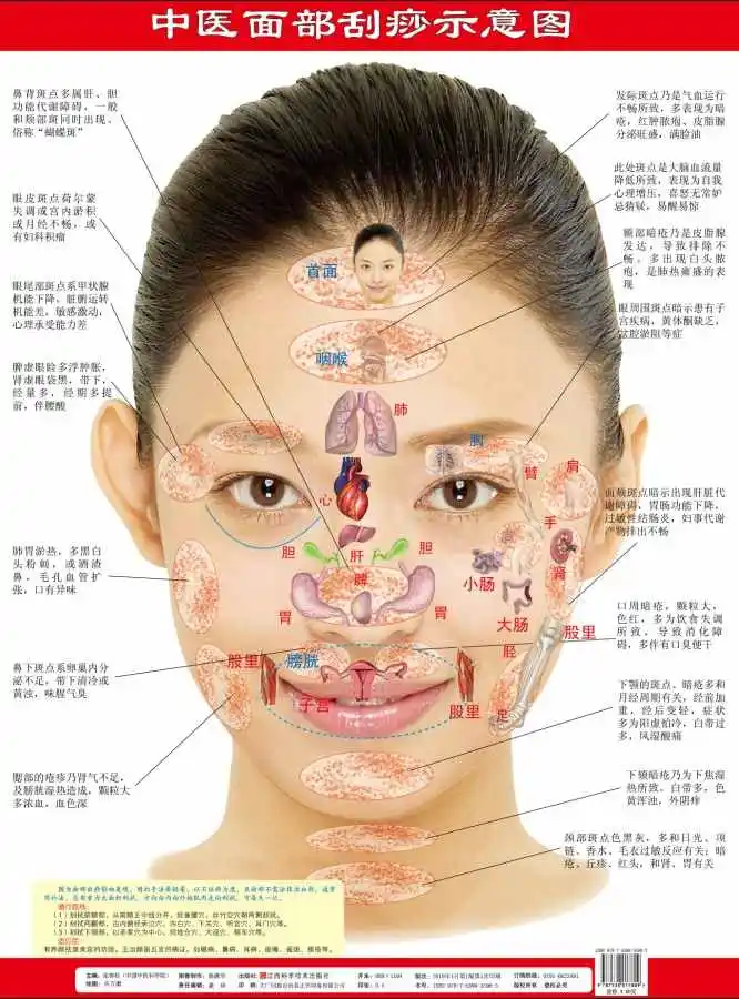 Диаграмма соскабливания Tcm для лица спины ног (3 рисунка в общей сложности)