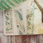 6 листов натуральных тропических листьев синкопа, ПВХ наклейка для скрапбукинга, сделай сам, подарочная упаковка, ярлык, декоративная бирка