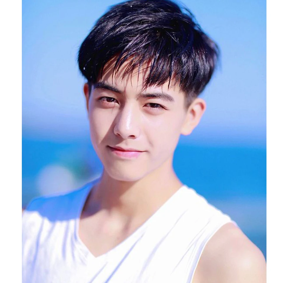 

HOUYAN Men's short wigs men's hair replacement block of human hair men's invisible seamless daily wear