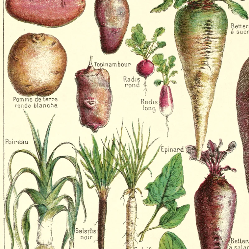 Французский вариант старинный растительный ВИНТАЖНЫЙ ПЛАКАТ с принтом