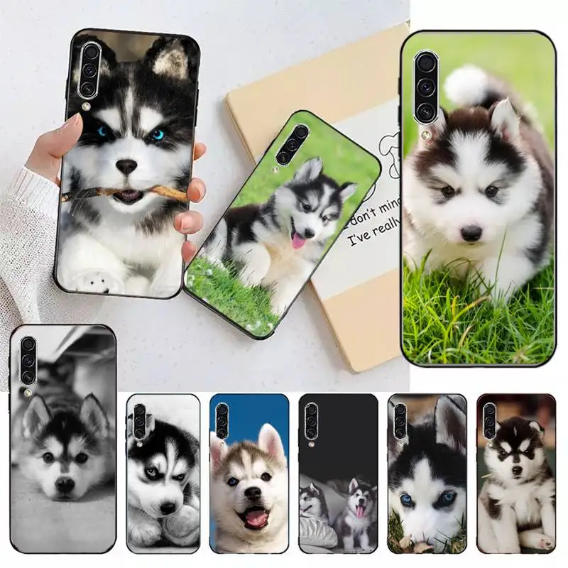 

Husky Cute and funny animals Phone Case For Samsung galaxy A S note 10 12 20 32 40 50 51 52 70 71 72 21 fe s ultra plus