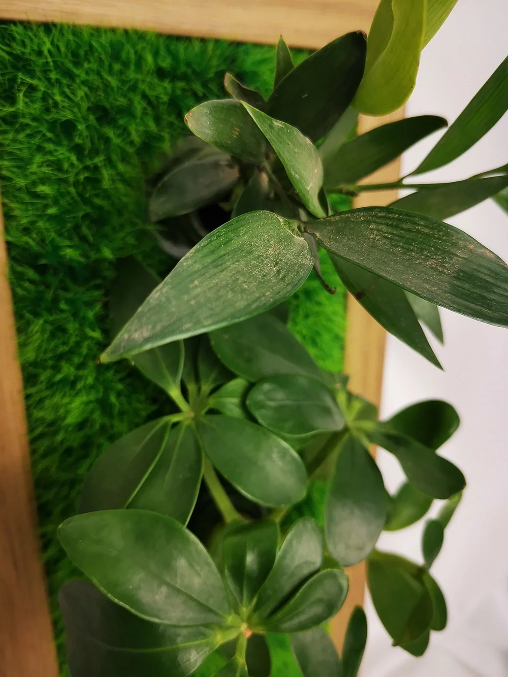 

Wall Planter Greenery Frame For Home Decoration Crafts