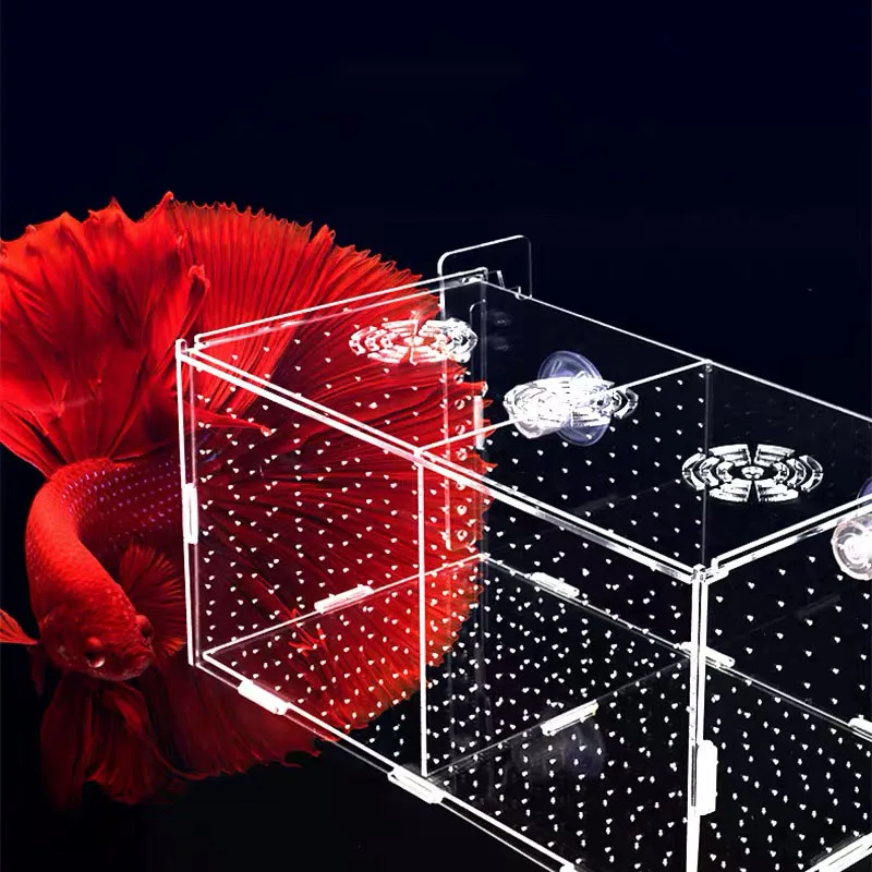 

Мини аквариум изолирующая коробка тип крючка Прозрачный большой аквариум маленькая рыба Обжарка изолирующая коробка принадлежности для а...