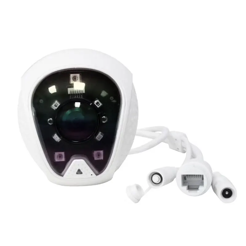 REDEAGLE 1080P 4X цифровая зум ip-камера 2MP беспроводная WiFi наружная скоростная купольная