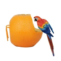 new funny fruit shape bird orange pomegranate food water feeding bowl container feeders for crates cages coop pet parrot feeder