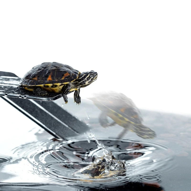 

Small Turtle Basking Platform Narrow Hanging Turtle Ramp Reptile Ladder Resting Terrace Aquatic Reptile Basking Platform H051